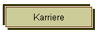 Karriere